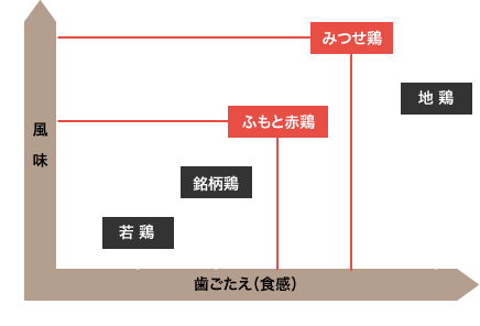 風味と歯ごたえイメージ図